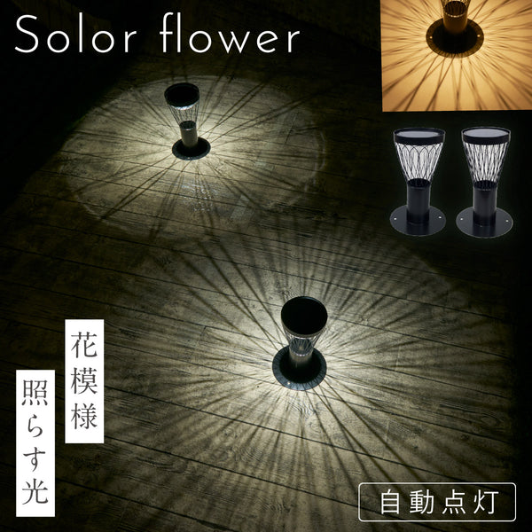 ソーラーフラワー.|m2