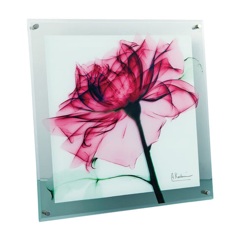 X-RAY Glass Art ガラスアート Mサイズ