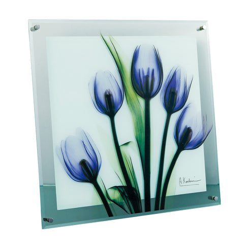 X-RAY Glass Art ガラスアート Mサイズ