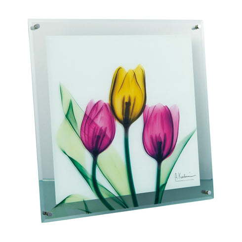 X-RAY Glass Art ガラスアート Mサイズ