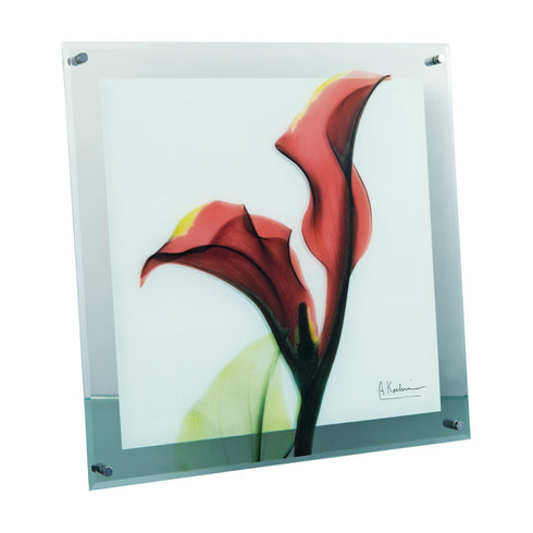 X-RAY Glass Art ガラスアート Mサイズ