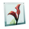 X-RAY Glass Art ガラスアート Mサイズ
