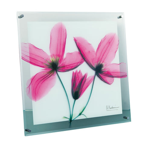 X-RAY Glass Art ガラスアート Mサイズ