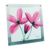 X-RAY Glass Art ガラスアート Mサイズ