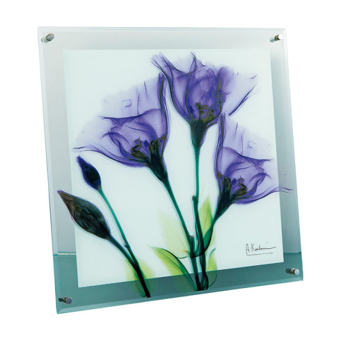 X-RAY Glass Art ガラスアート Mサイズ