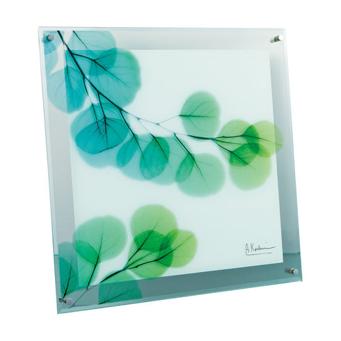 X-RAY Glass Art ガラスアート Mサイズ