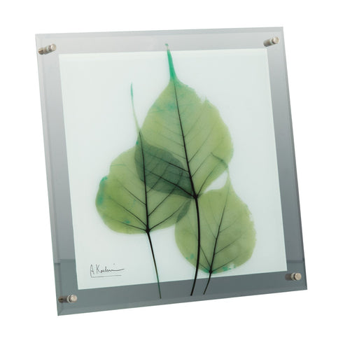 X-RAY Glass Art ガラスアート Mサイズ