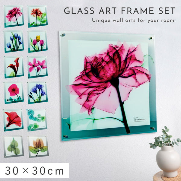 X-RAY Glass Art ガラスアート Mサイズ.|m2