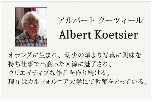 X-RAY Glass Art ガラスアート Mサイズ.|s6