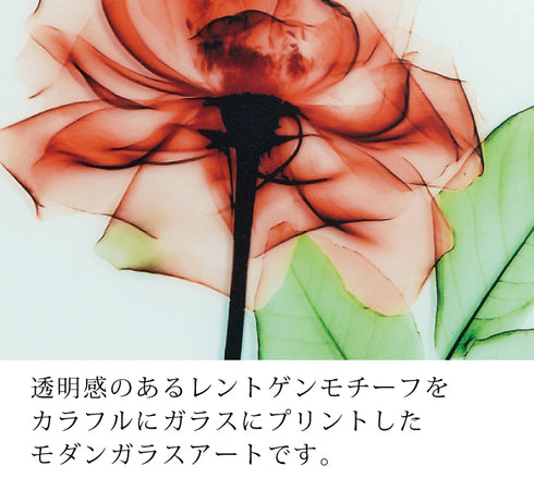 X-RAY Glass Art ガラスアート Mサイズ.|s3