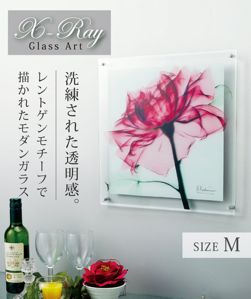 X-RAY Glass Art ガラスアート Mサイズ.|s1