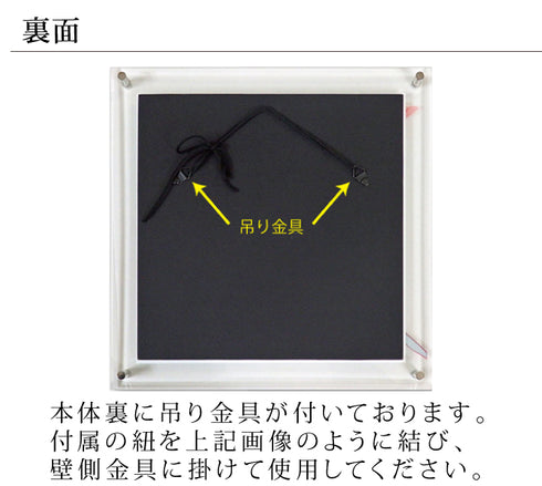 X-RAY Glass Art ガラスアート Mサイズ.|s5