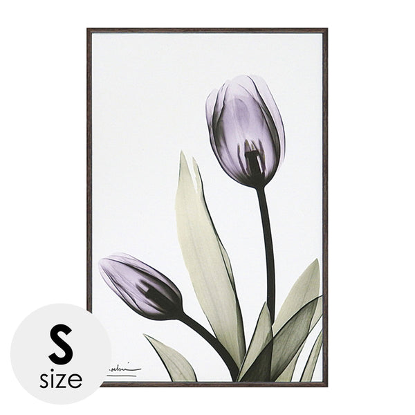X RAY キャンバスアート チューリップ.|m2