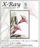 X RAY キャンバスアート トランペットフラワー.|s1