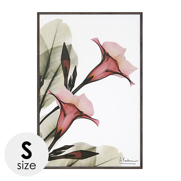 X RAY キャンバスアート トランペットフラワー.|m2