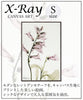 X RAY キャンバスアート サルビア.|s1