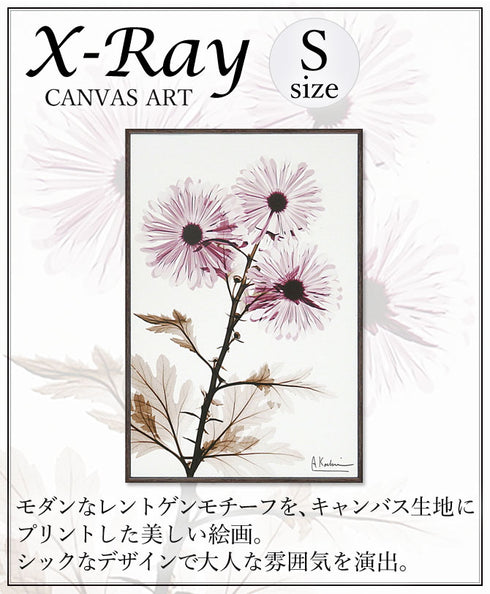 X RAY キャンバスアート ウィンドミル.|s1