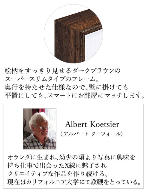 X RAY キャンバスアート ウィンドミル.|s2