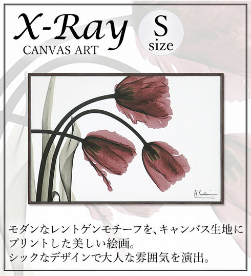 X RAY キャンバスアート フリンジチューリップ.|s1