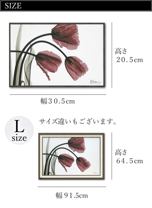 X RAY キャンバスアート フリンジチューリップ.|s3