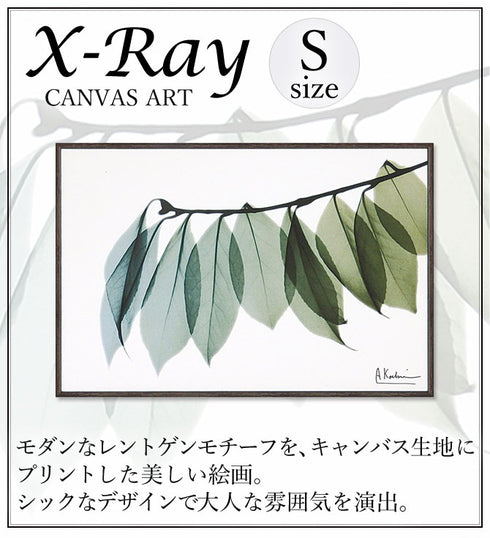 X RAY キャンバスアート リーフ2.|s1