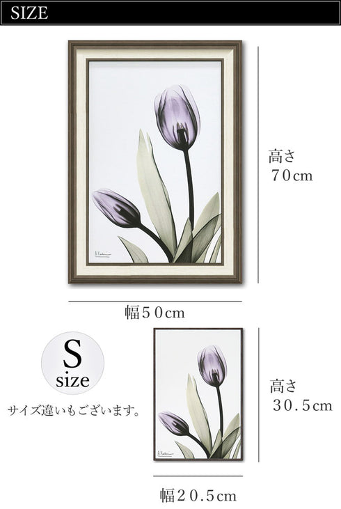 X RAY キャンバスアート チューリップ.|s2