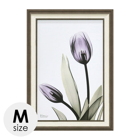 X RAY キャンバスアート チューリップ.|m2