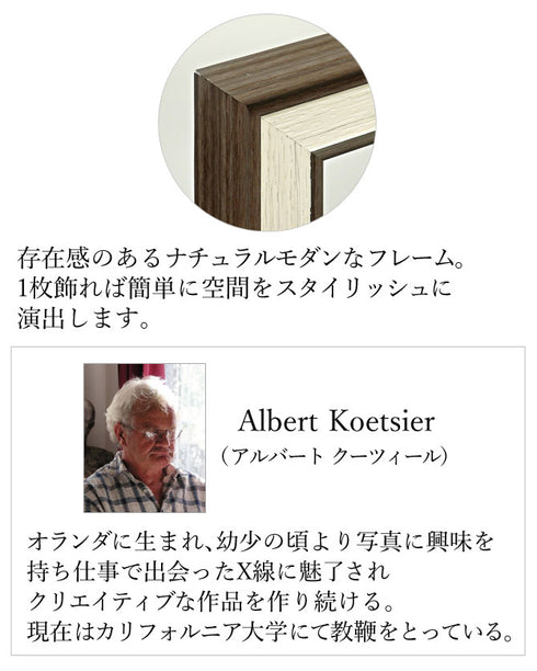 X RAY キャンバスアート チューリップ.|s2