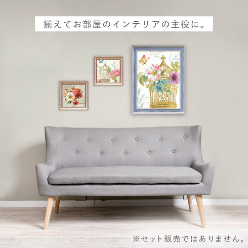 レインボー シード ロマンティック1.|s7