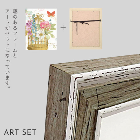 レインボー シード ロマンティック2.|s4