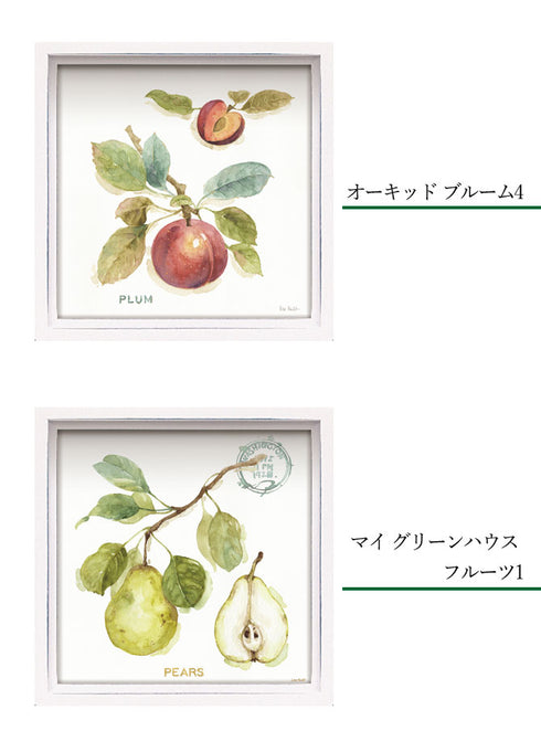 ロハス ミニアートフレーム リサ オーディット.|s8