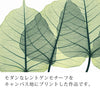 X-RAY CANVAS ART リーフ3 Sサイズ.|s2