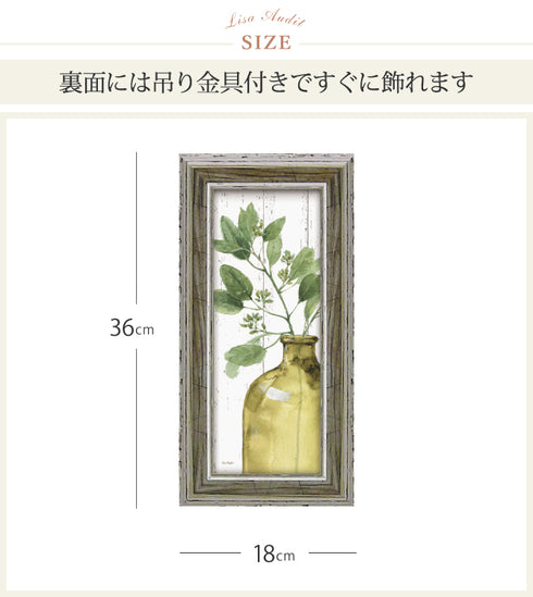 リサ オーディット グリーン シップラップ1.|s4