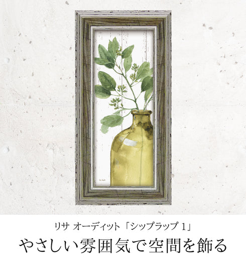 リサ オーディット グリーン シップラップ1.|s1