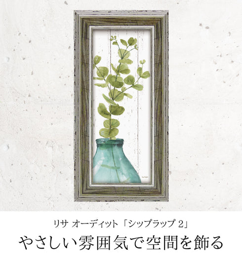 リサ オーディット グリーン シップラップ2.|s1