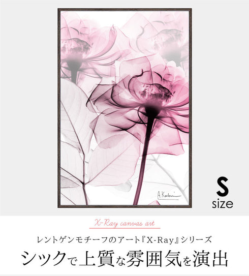 X RAY キャンバスアート ピンクローズ Sサイズ.|s1