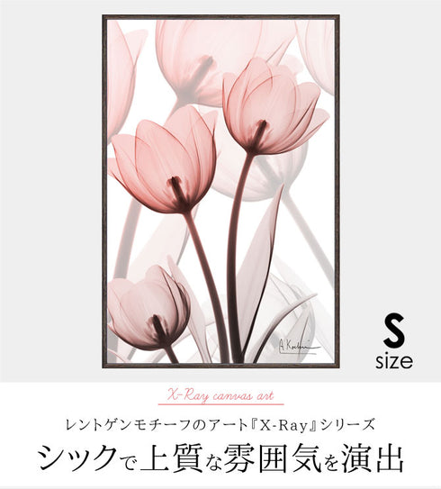X RAY キャンバスアート ラスター チューリップ Sサイズ.|s1