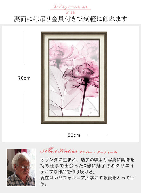 X RAY キャンバスアート ピンクローズ Mサイズ.|s3