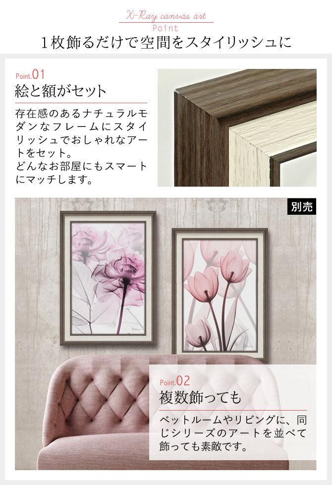 ココチのくらし雑貨店 | X RAY キャンバスアート ピンクローズ Mサイズ