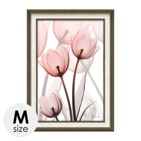 X RAY キャンバスアート ラスター チューリップ Mサイズ.|m2