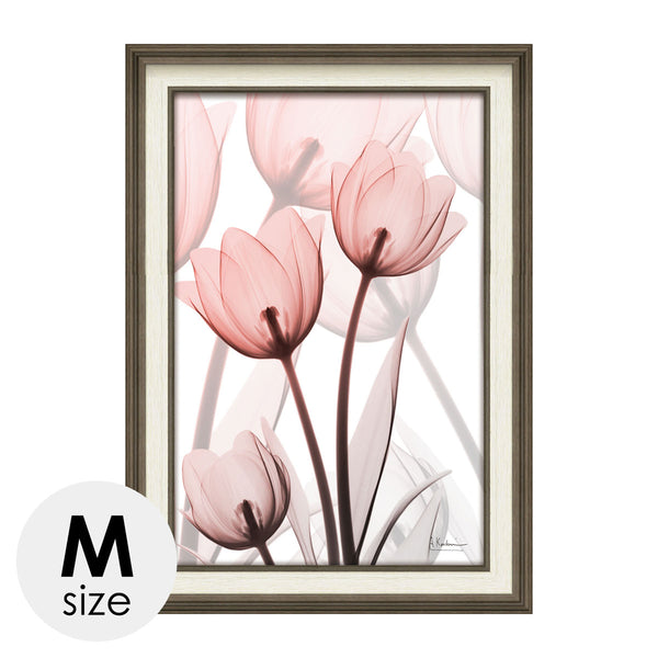 X RAY キャンバスアート ラスター チューリップ Mサイズ.|m2