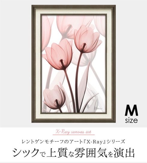 X RAY キャンバスアート ラスター チューリップ Mサイズ.|s4
