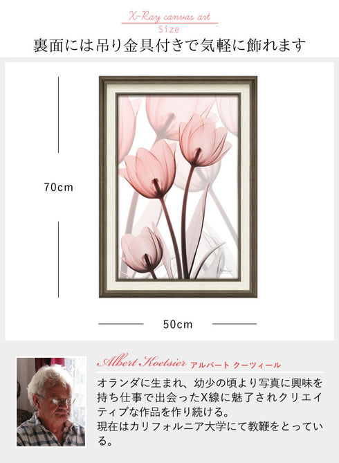 X RAY キャンバスアート ラスター チューリップ Mサイズ.|s3