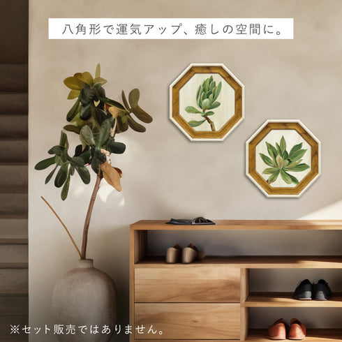 シルビア ヴァシレヴァ.|s9