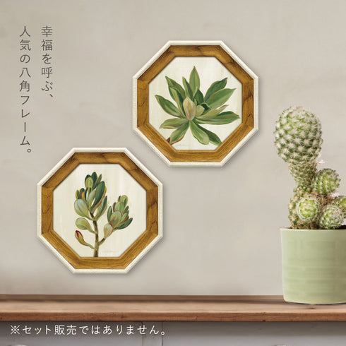 シルビア ヴァシレヴァ.|s2