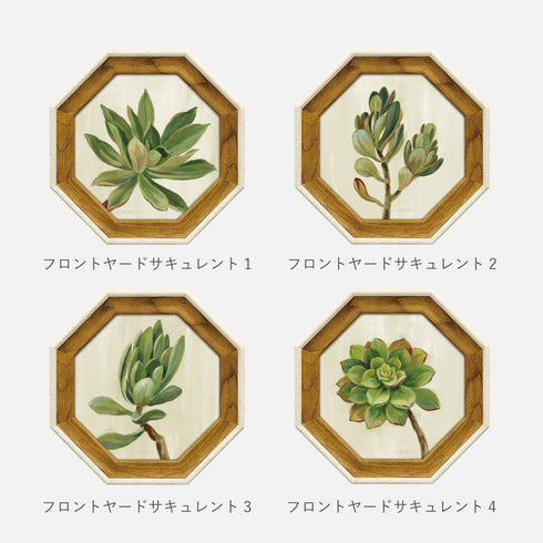 シルビア ヴァシレヴァ.|s8