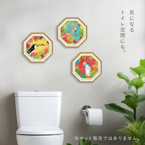 ファリダ ザマン トゥッティ フルッティ.|s4