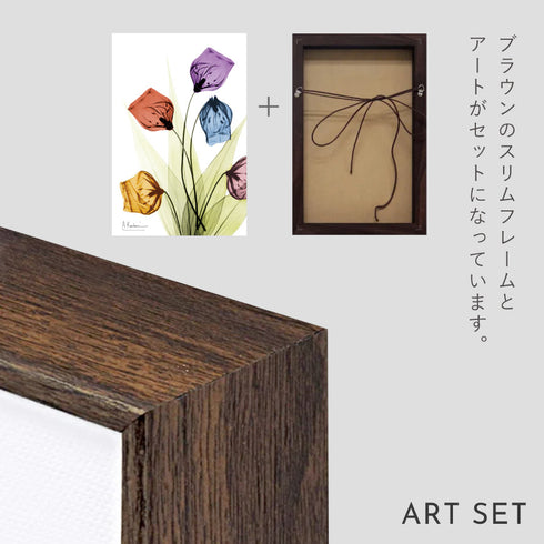 X-RAY CANVAS ART サンダーソニア Sサイズ.|s6