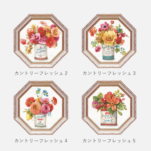 リサ オーディット カントリーフレッシュ.|s8