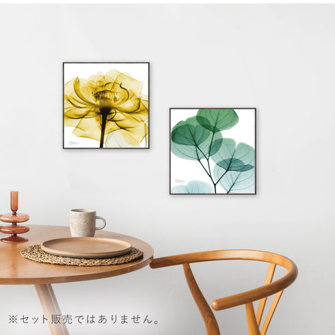 X-RAY CANVAS ART ゴールデンローズ スクエアS.|s5